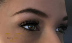 Lash Extensions Volumen 2D